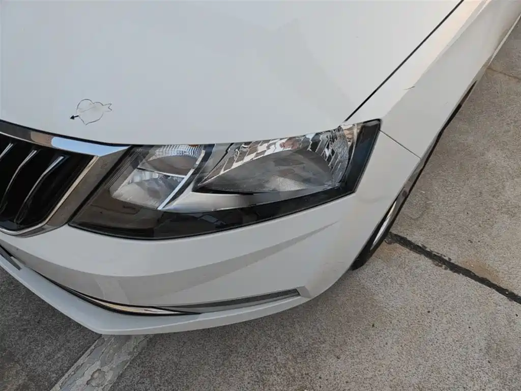 Škoda Rapid 2019 1.5L Automatic Comfort Version China VI фото 24