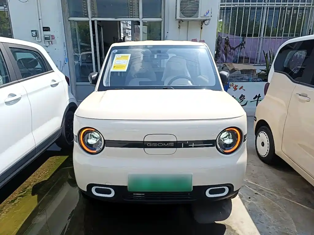 2026 Geely Galaxy Panda
