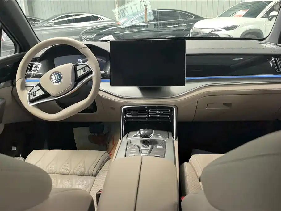 BYD Tang New Energy 2025 DM-i 115KM Flagship фото 12