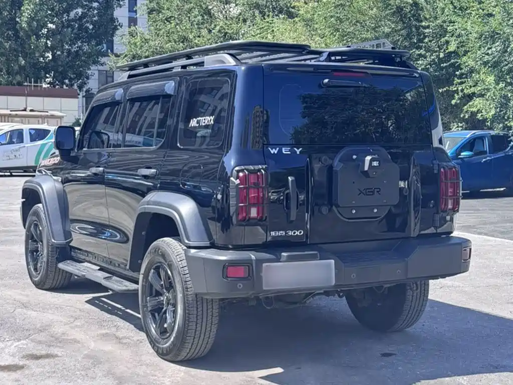 Tank 300 2021 2021 Off-road Version 2.0T Conqueror