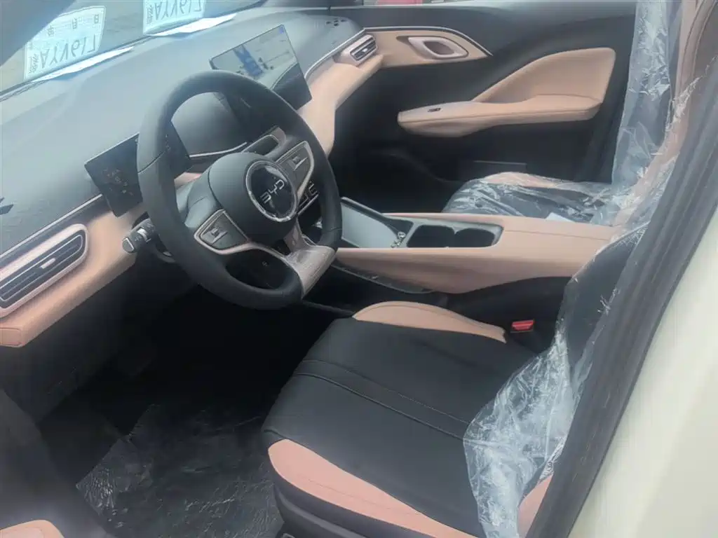 BYD Seagull 2025 Smart Drive Edition 305km Vitality Version фото 15