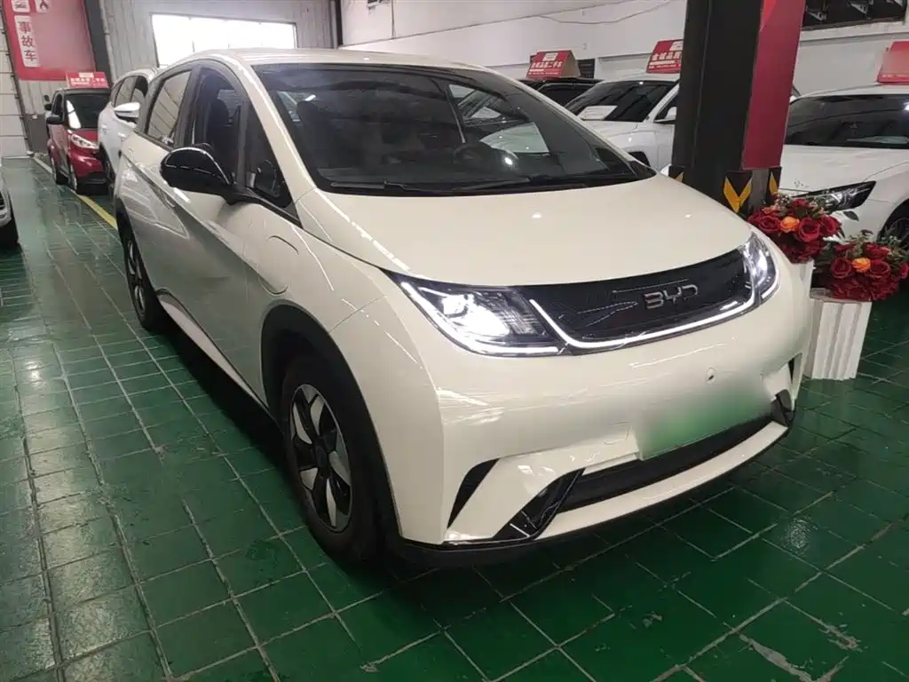 BYD Dolphin 2024 Glory Edition 420km Fashion Edition фото 4