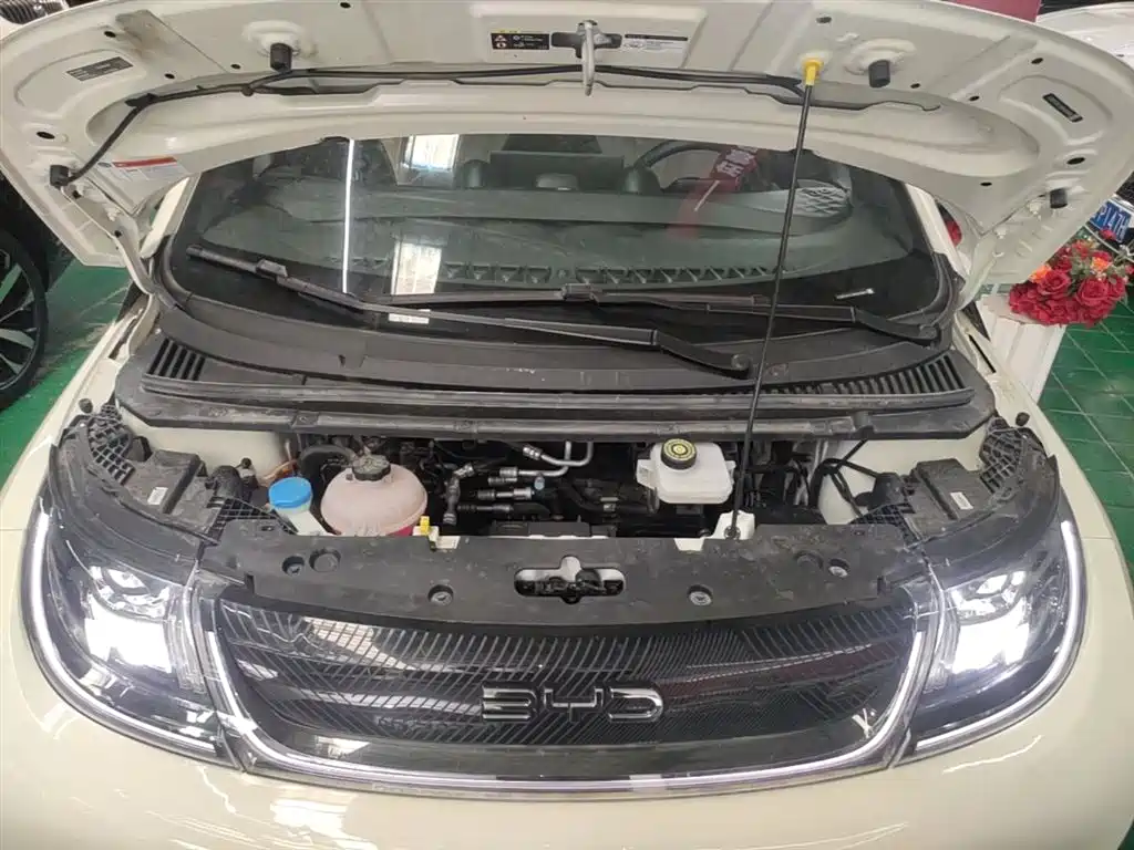 BYD Dolphin 2024 Glory Edition 420km Fashion Edition фото 20