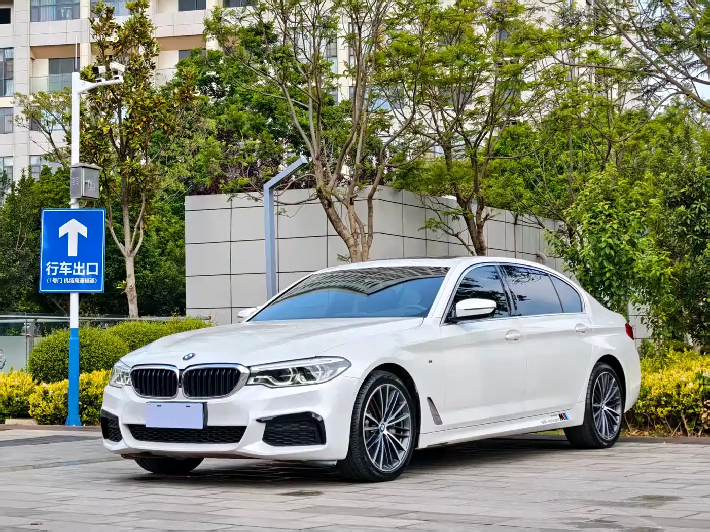 BMW 5 Series 2020 530Li Leading M Sport Package