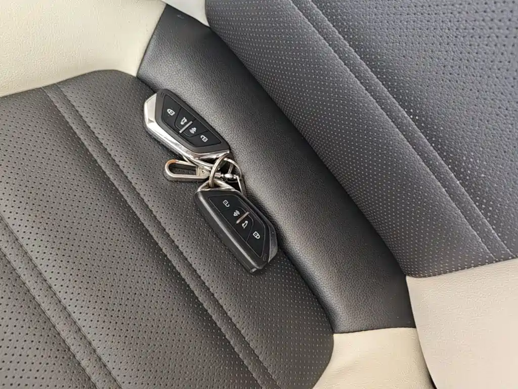 BAIC Weiwang BAW Weiwang M60 2018 2017 1.5L Manual Platinum Edition