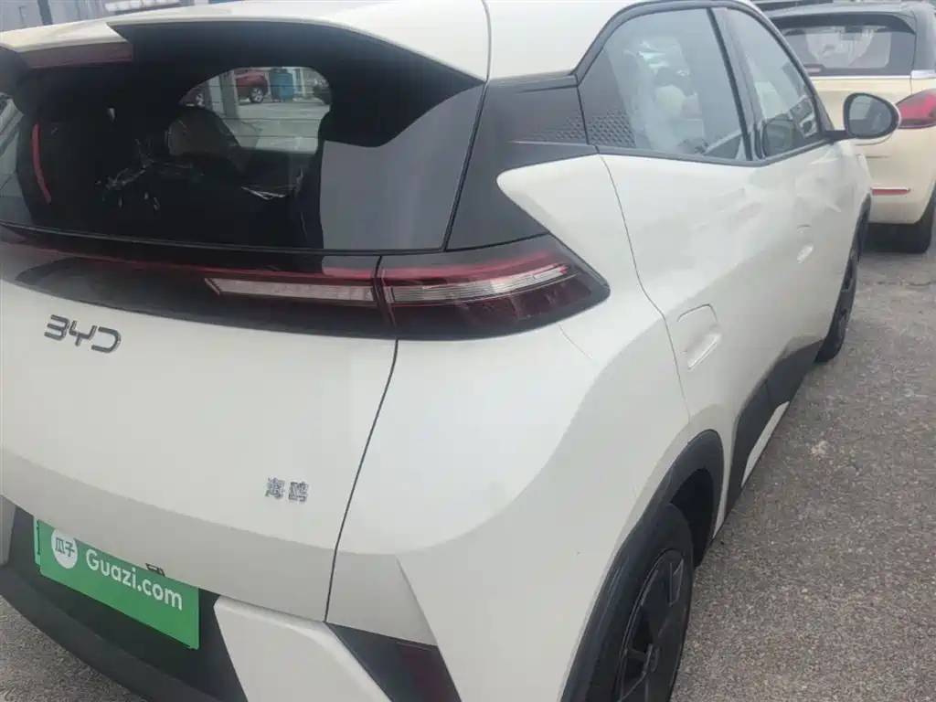 BYD Seagull 2025 Smart Drive Edition 305km Vitality Version фото 8