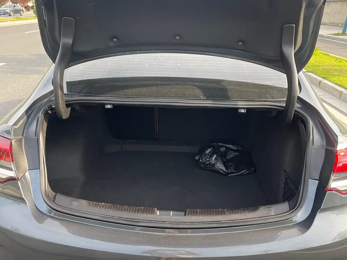 Buick Regal 2020 552T Luxury фото 16