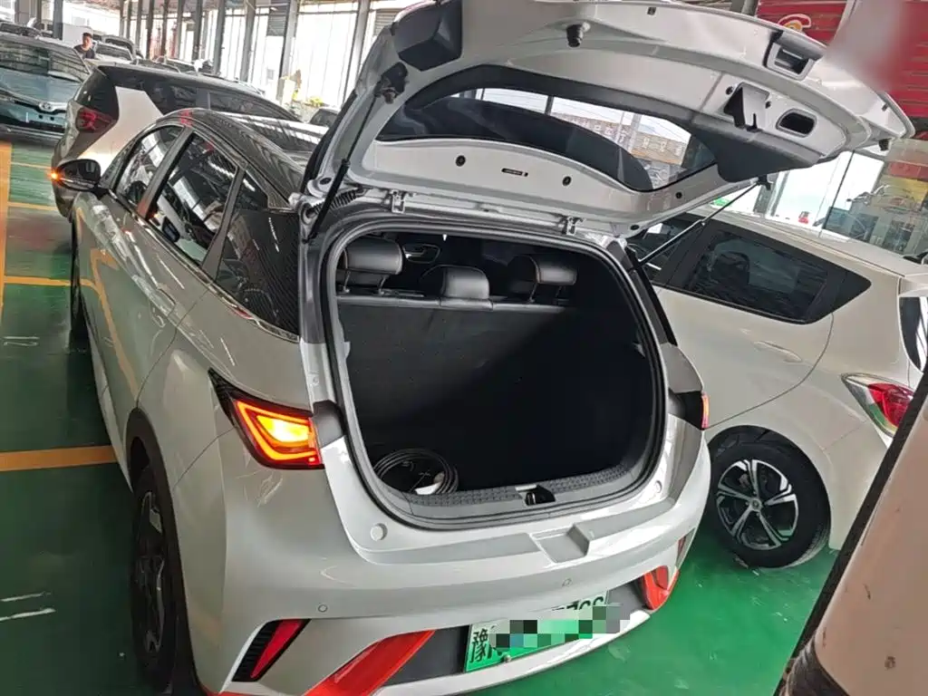 BYD Dolphin 2021 Model 405km Fashion Edition фото 19