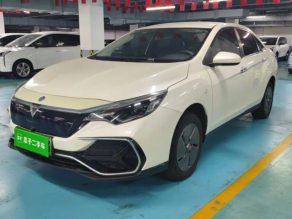 2024 Venucia D60EV