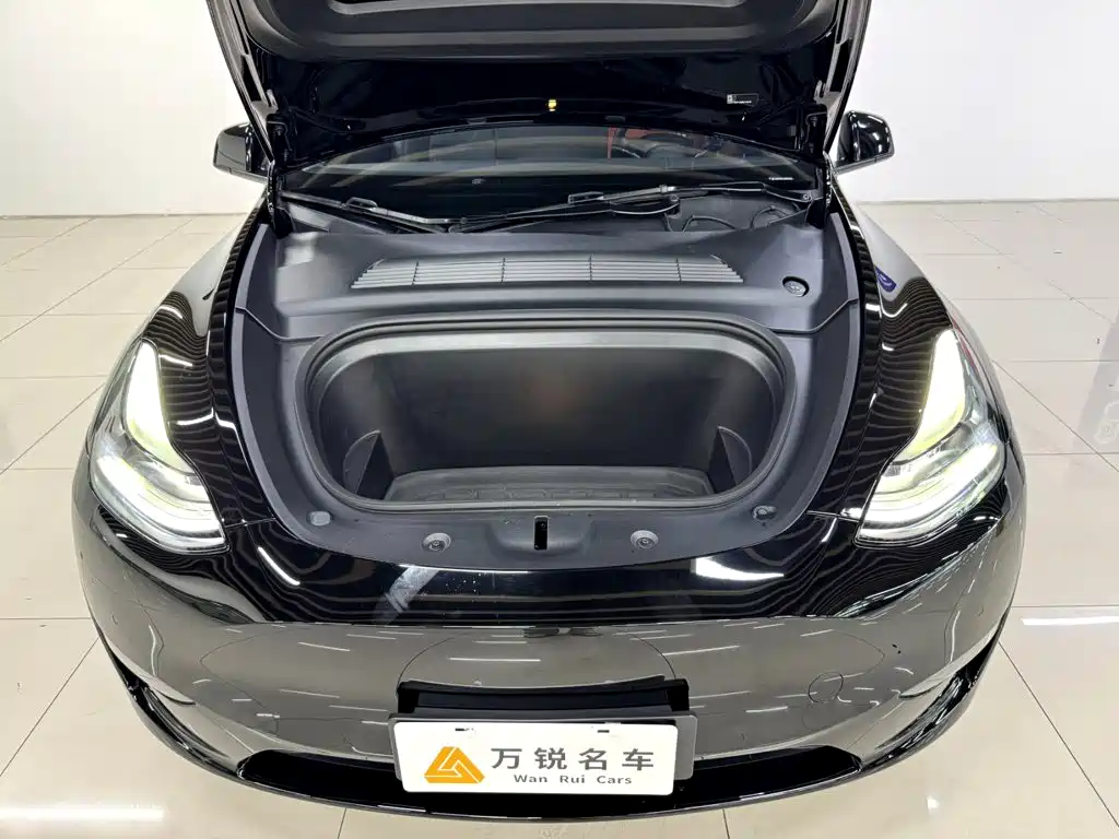 Tesla Model Y 2021 2021 Standard Range Rear-Wheel Drive