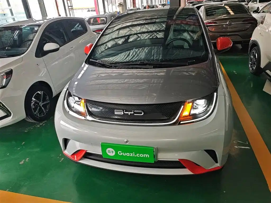 BYD Dolphin 2021 Model 405km Fashion Edition фото 3