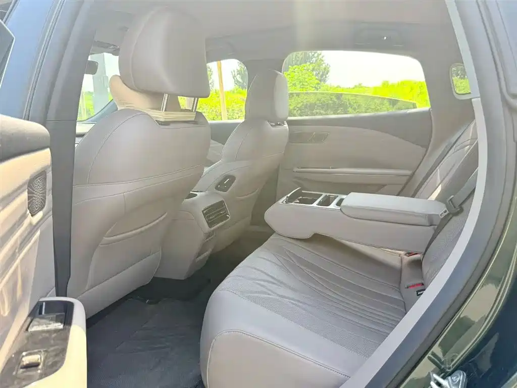 Geely Galaxy Galaxy Xingyao 8 2025 130km EM-i Premium Edition фото 5