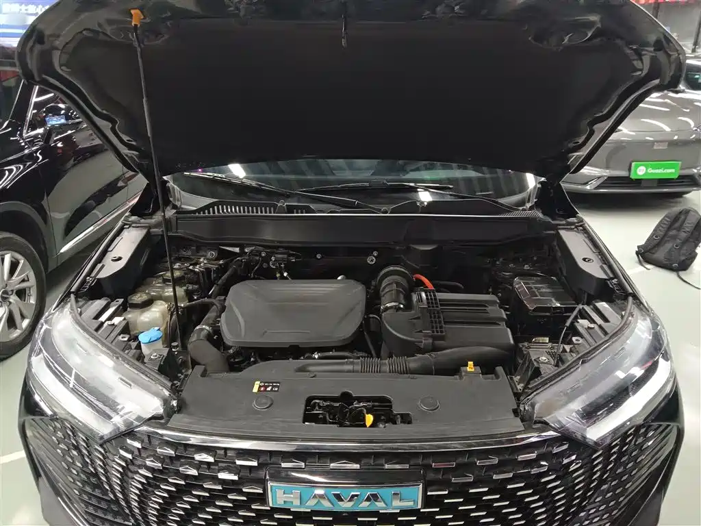 Haval H6 New Energy 2023 DHT-PHEV 110KM Joy Ride Edition фото 16