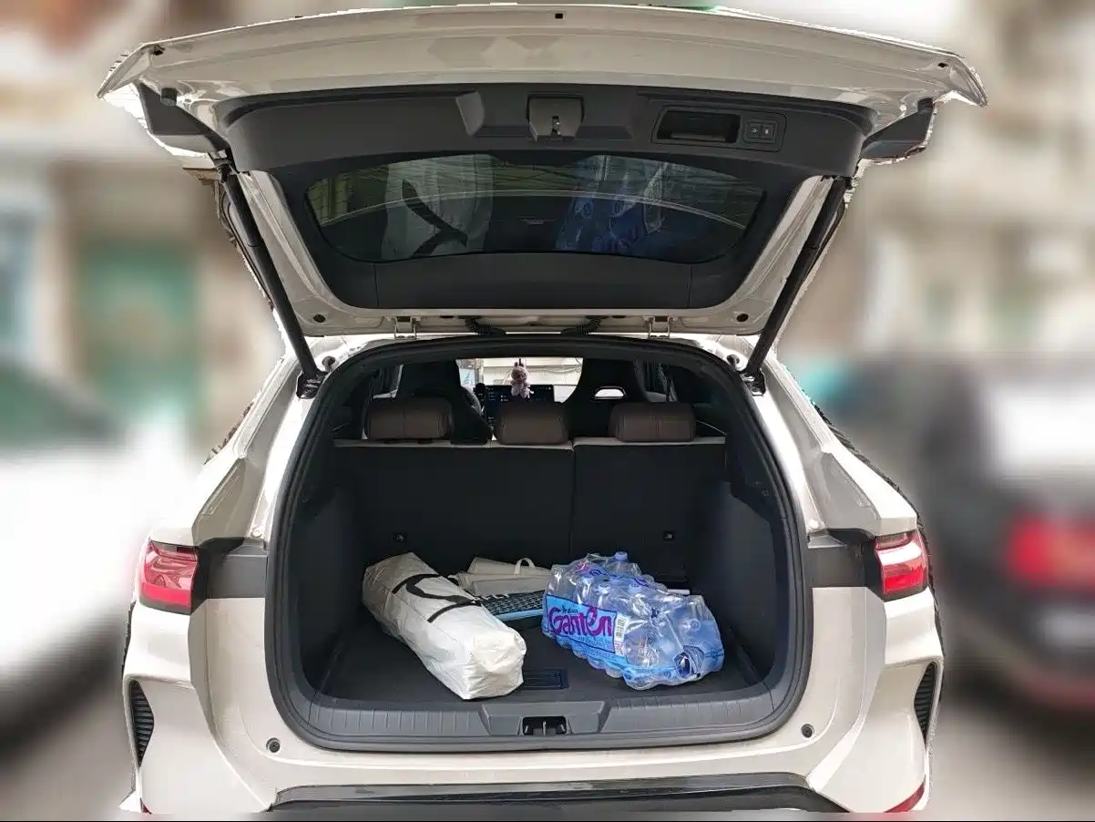 BYD Song PLUS PHEV 2025 EV Smart Drive Edition 605km Flagship фото 13