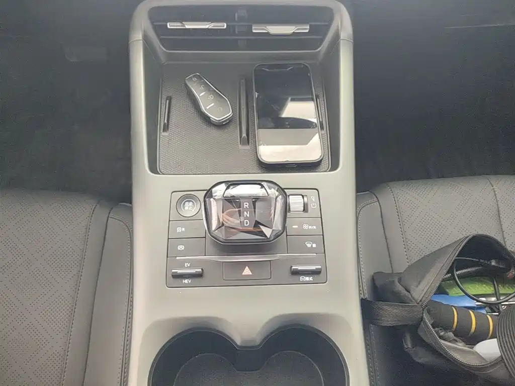 BYD Qin PLUS 2025 DM-i Smart Drive 55KM Leader фото 14
