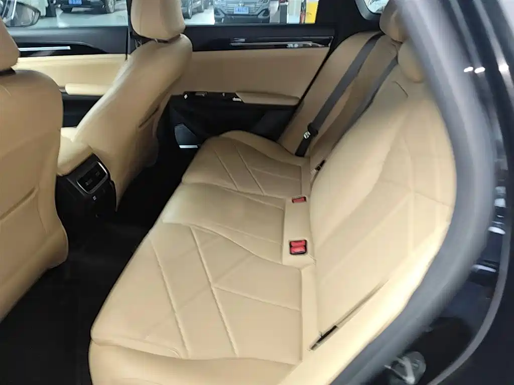 Geely Galaxy Galaxy L6 2024 125km PLUS Soaring Dragon Edition фото 17