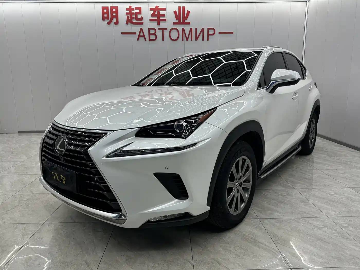 LEXUS NX