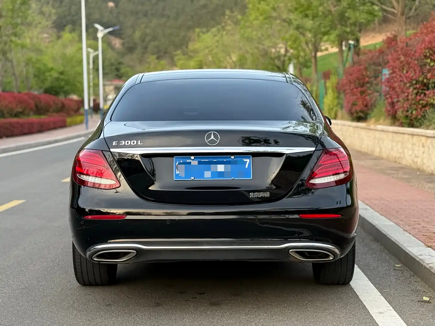 Mercedes-Benz E-Class 2020 Facelift E 300 L Fashion фото 5
