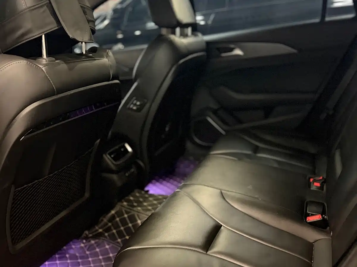 Фото 4 - Hongqi H5