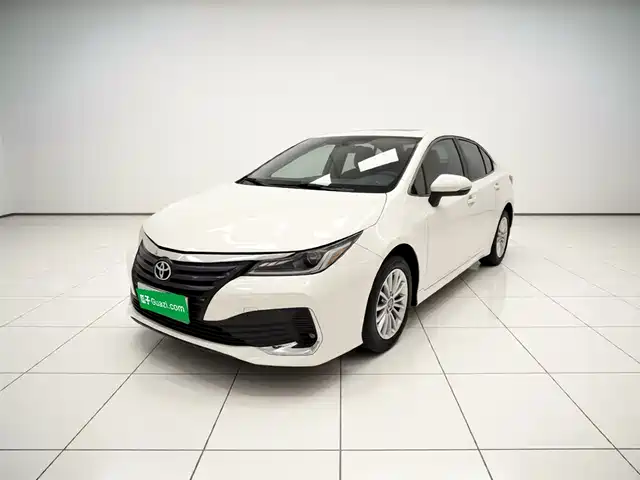 TOYOTA ASIAN LION 2024