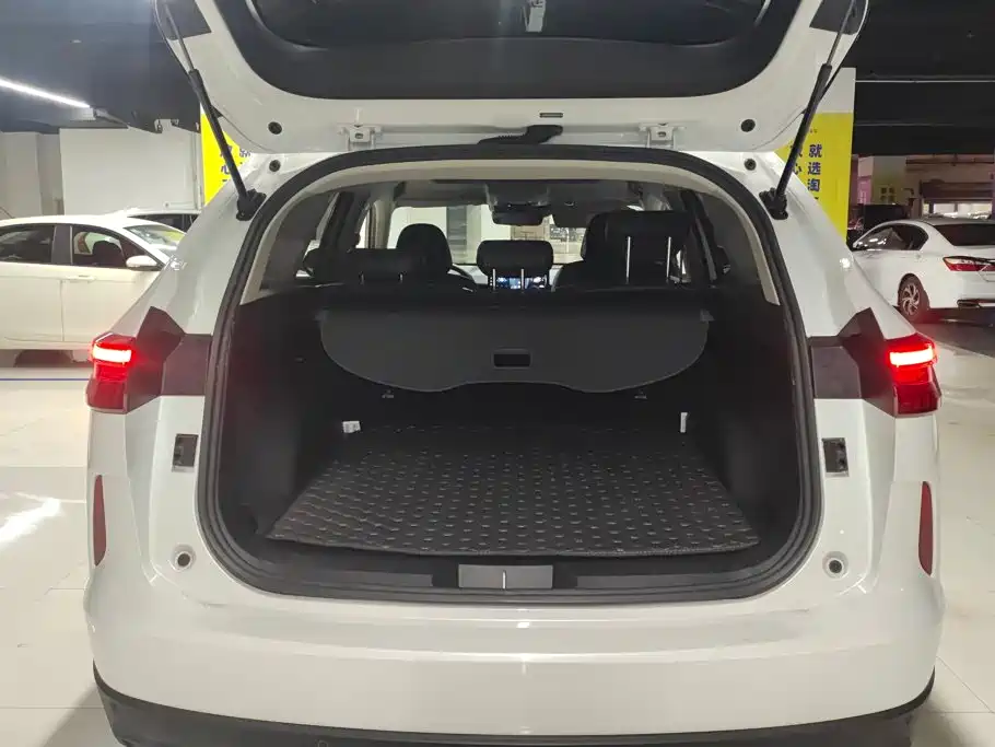Haval H6 2025 2024 Model 1.5T 2WD Classic Edition