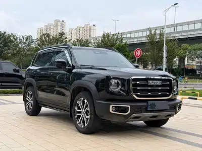 Haval Dargo