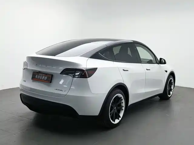 Tesla Model Y 2024 Rear-Wheel Drive Version — фото 2