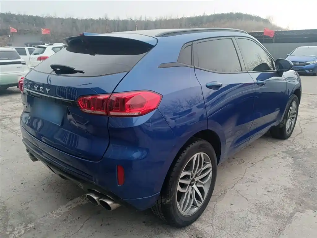 WEY VV5 2017 2017 2.0T Super Luxury Model