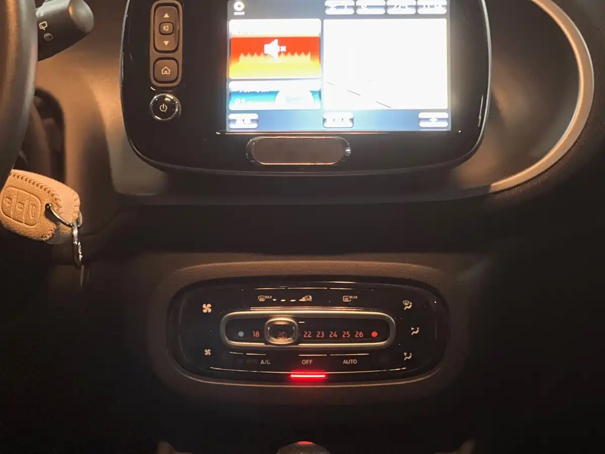 Фото 7 - smart forfour