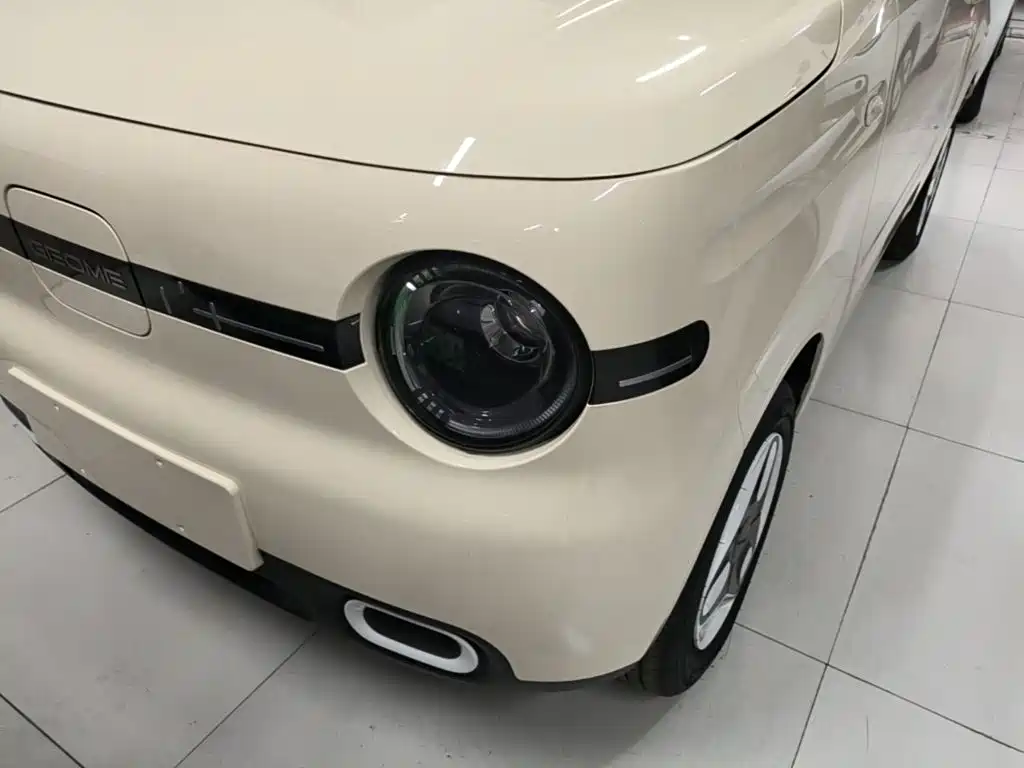 Geely Galaxy Panda 2026 2025 Panda mini 210km Vitality Bear