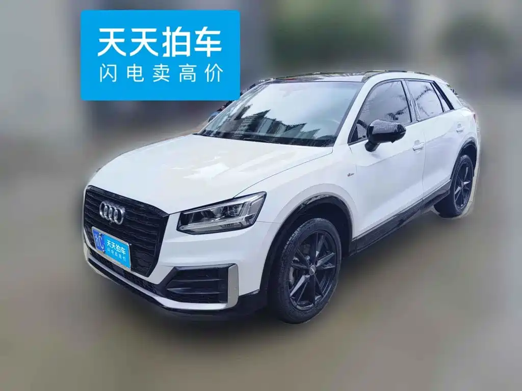 Audi Q2L