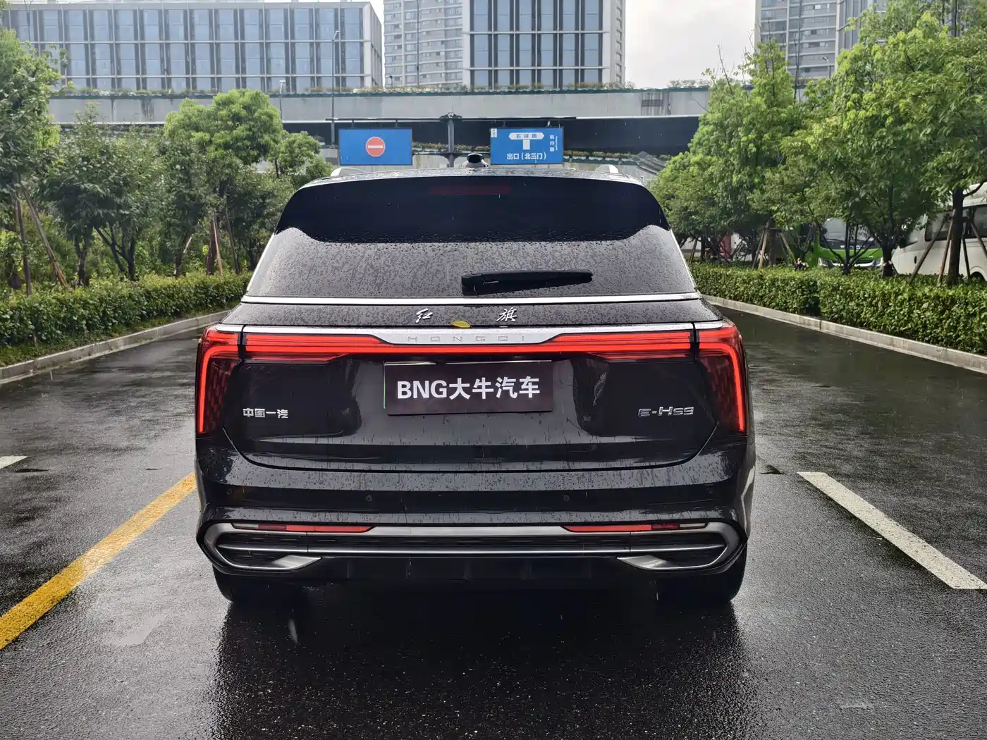 Фото 5 - Hongqi E-HS9