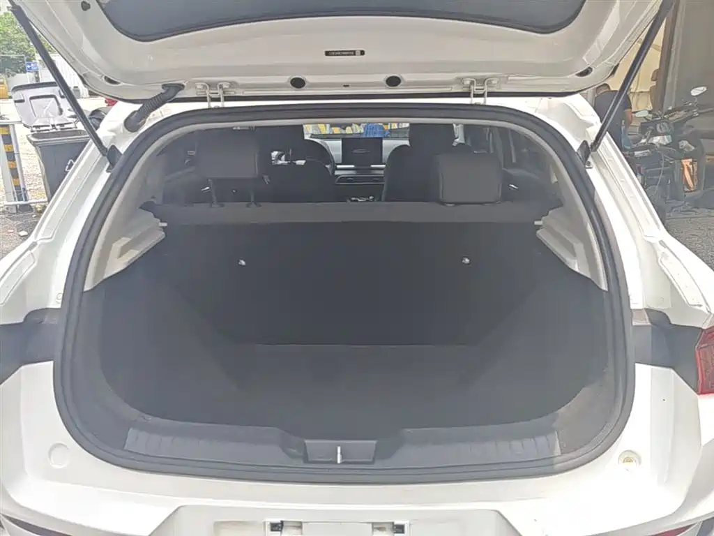 BYD e2 2021 Comfort Model фото 19