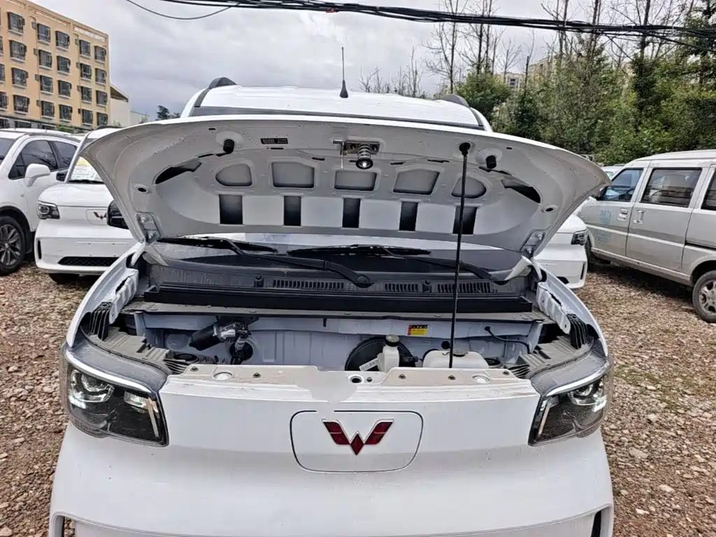 Wuling Motors Wuling Zhiguang NEV 2026 2025 Model 305km Base Version