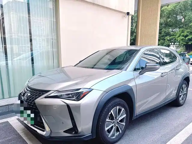  Lexus Lexus UX Electric 2020 300e Pure Yue Edition