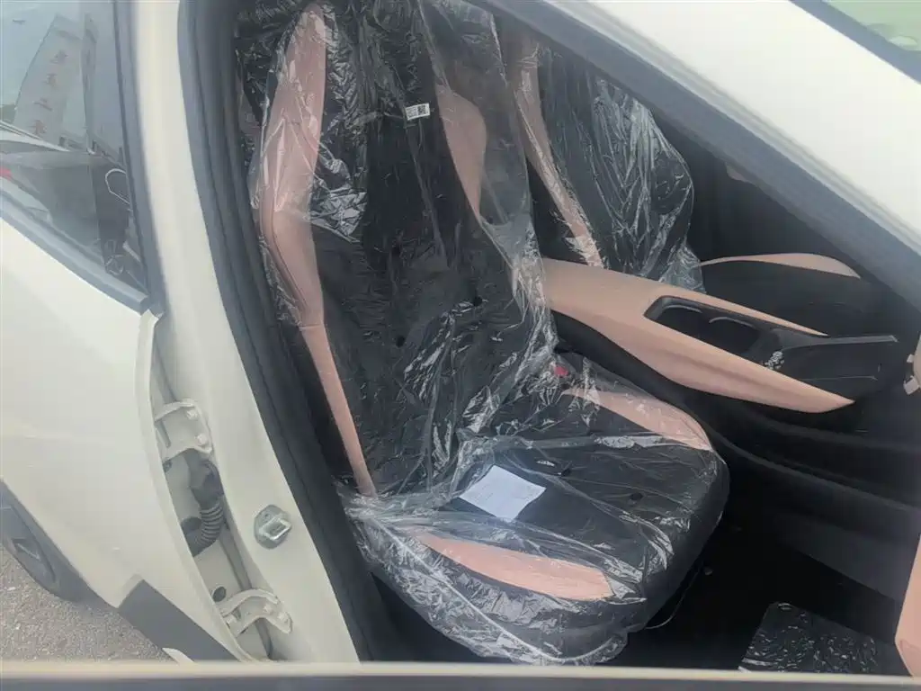 BYD Seagull 2025 Smart Drive Edition 305km Vitality Version фото 25