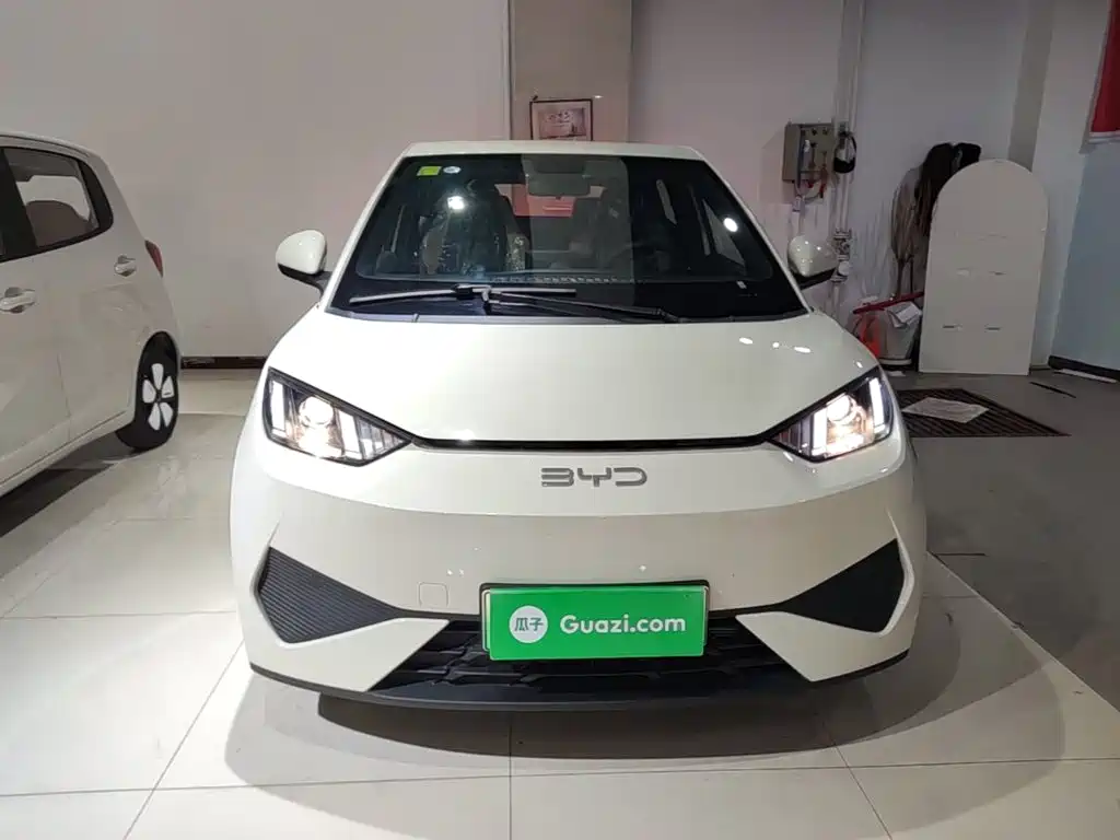 BYD Seagull 2026 2025 305km Vitality