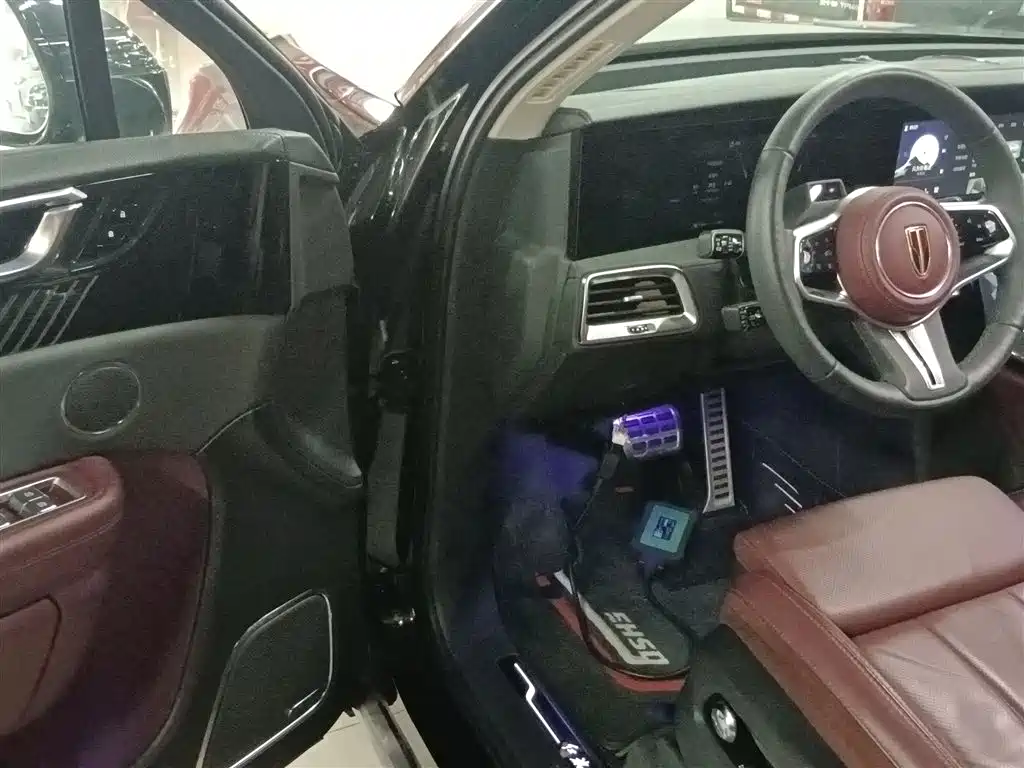 Hongqi E-HS9 2021 510km Flagship Comfort 6-seater фото 16