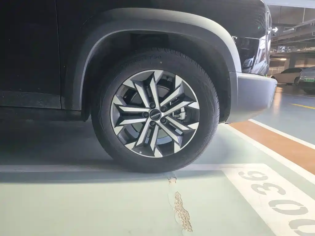 Haval Dargo 2025 2024 1.5T DCT Border Collie Edition