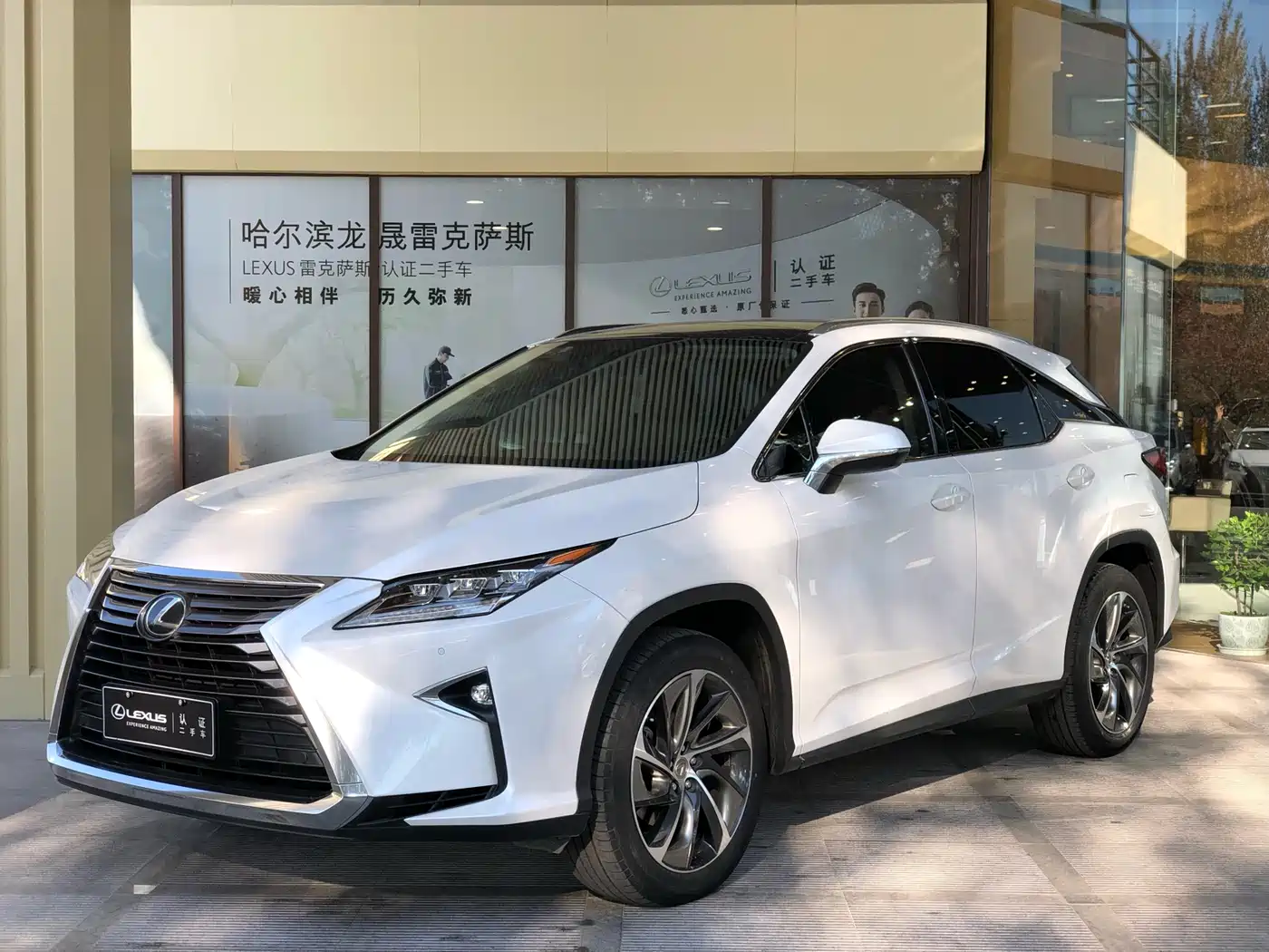 LEXUS RX