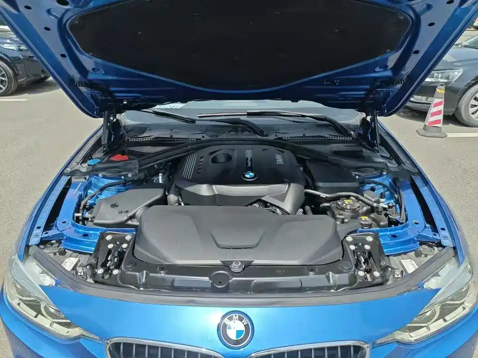 BMW 3 Series 2018 320Li Leading M Sport Package фото 12