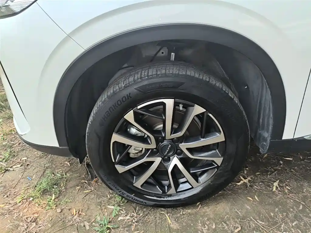 Haval H6 2021 3rd Gen 1.5T Auto 2WD Pro фото 22