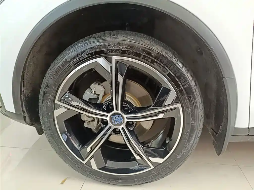 BYD Tang New Energy 2021 DM-i 112KM Honor фото 23