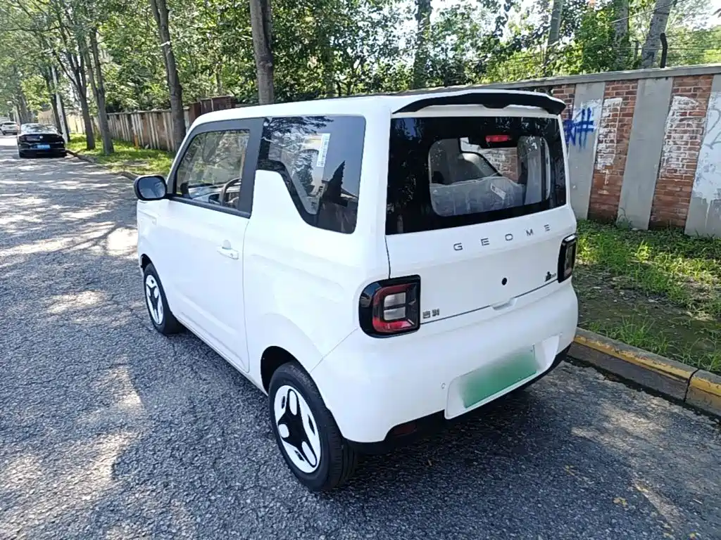 Geely Galaxy Panda 2026 2025 Panda mini 210km Vitality Bear