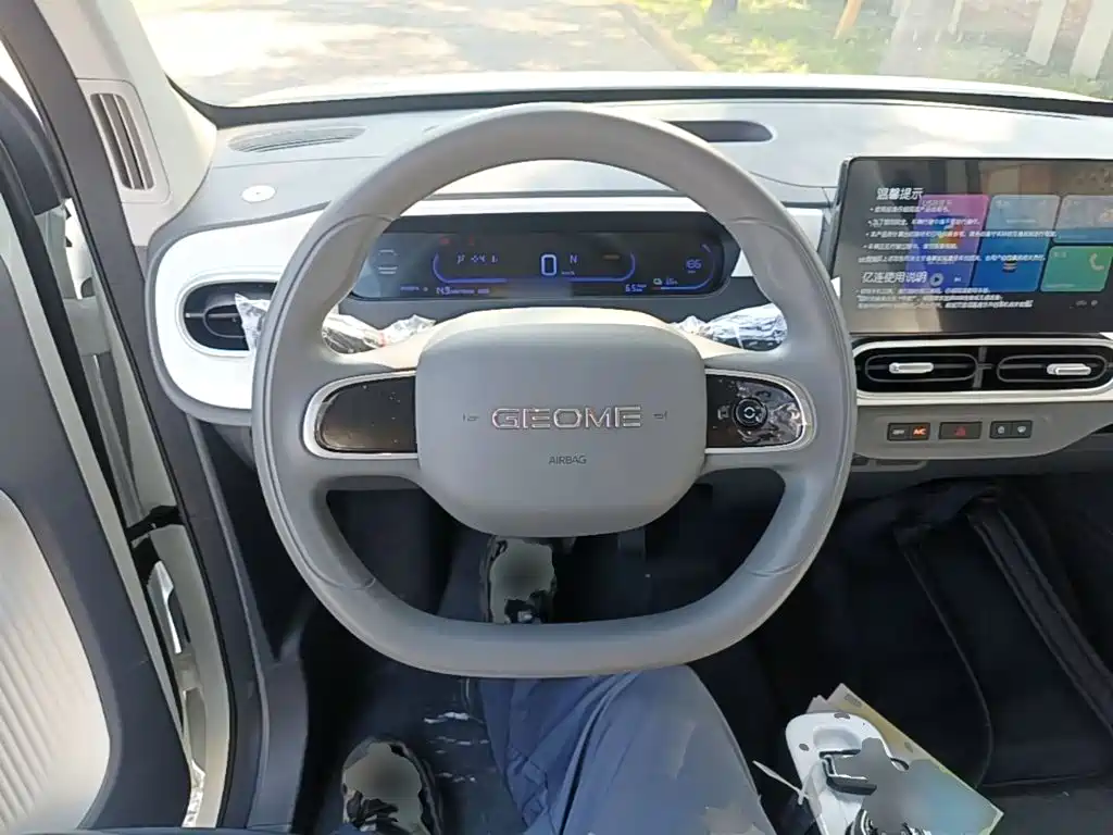 Geely Galaxy Panda 2026 2025 Panda mini 210km Vitality Bear