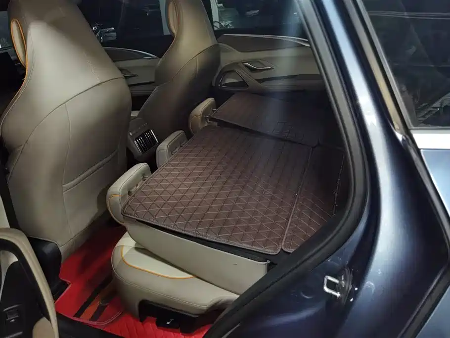 BYD Song Pro New Energy 2024 Glory Edition DM-i 71KM Pilot фото 11
