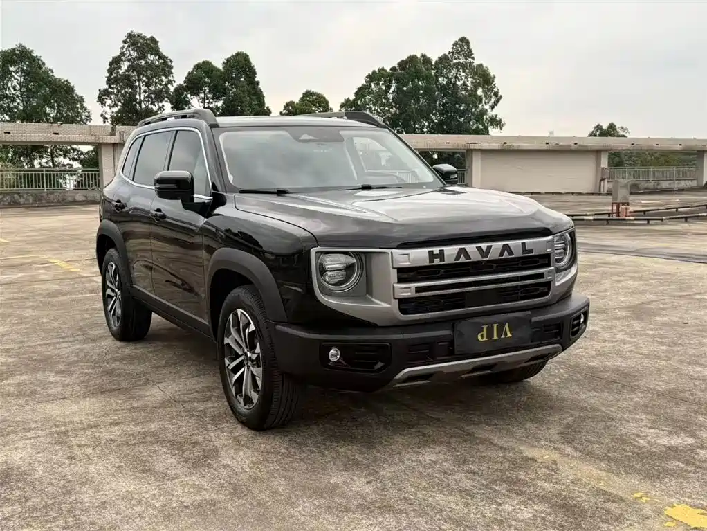 HAVAL BIG DOG