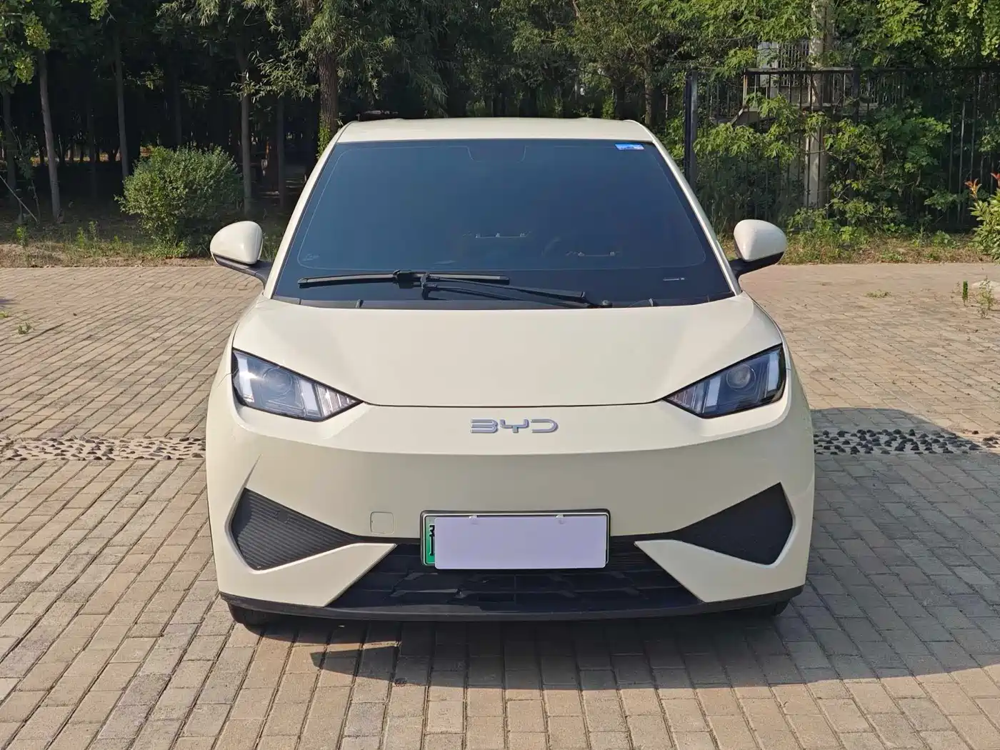 BYD Seagull 2025 Smart Drive Edition 305km Vitality Version фото 3