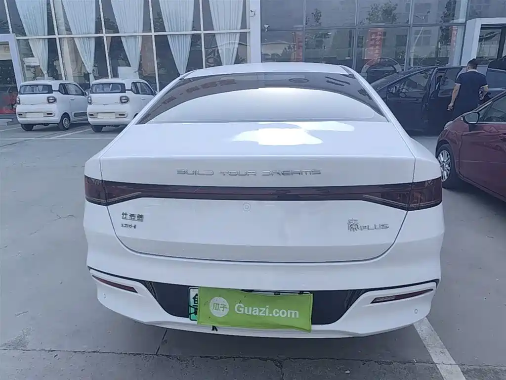 BYD Qin PLUS 2024 Glory Edition DM-i 55KM Leading фото 6
