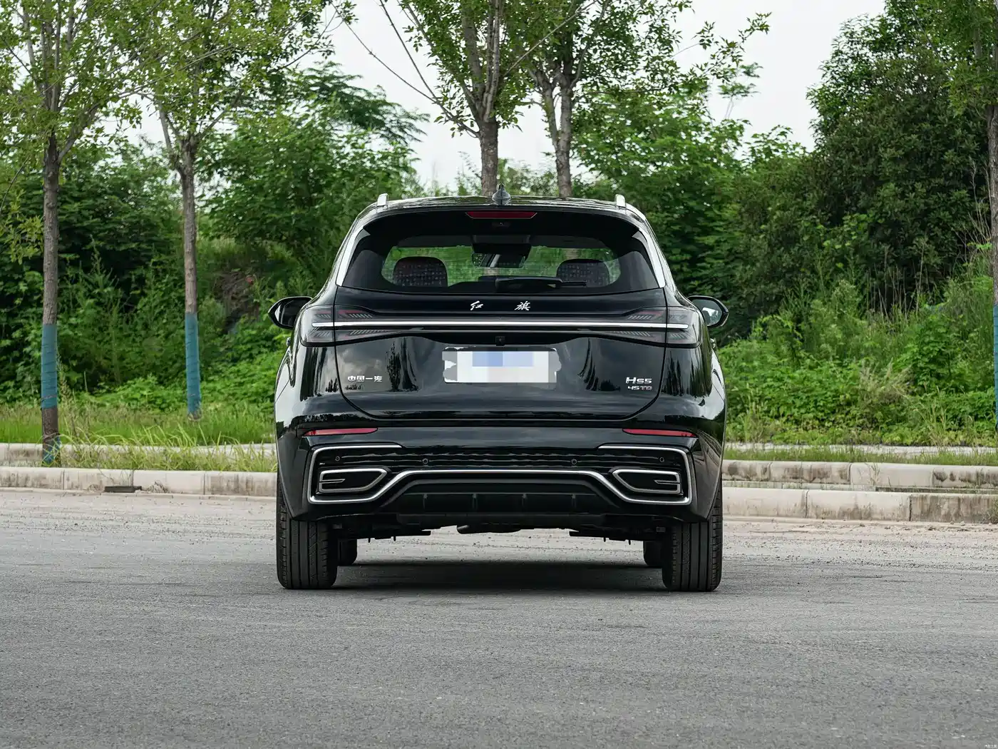 Hongqi HS5 2026 2026 2.0T 2WD Qi Enjoyment Pro Edition
